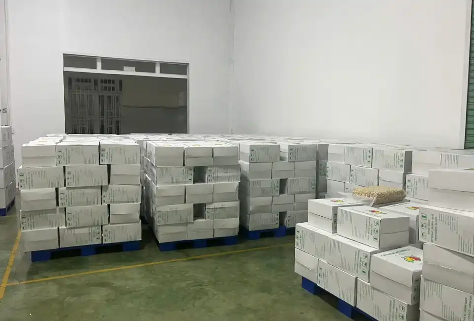 Home Page 5 i¿¾iƒ„i‚‘iiƒ¡i‚i‚ u 1 HAVIGO VIETNAM