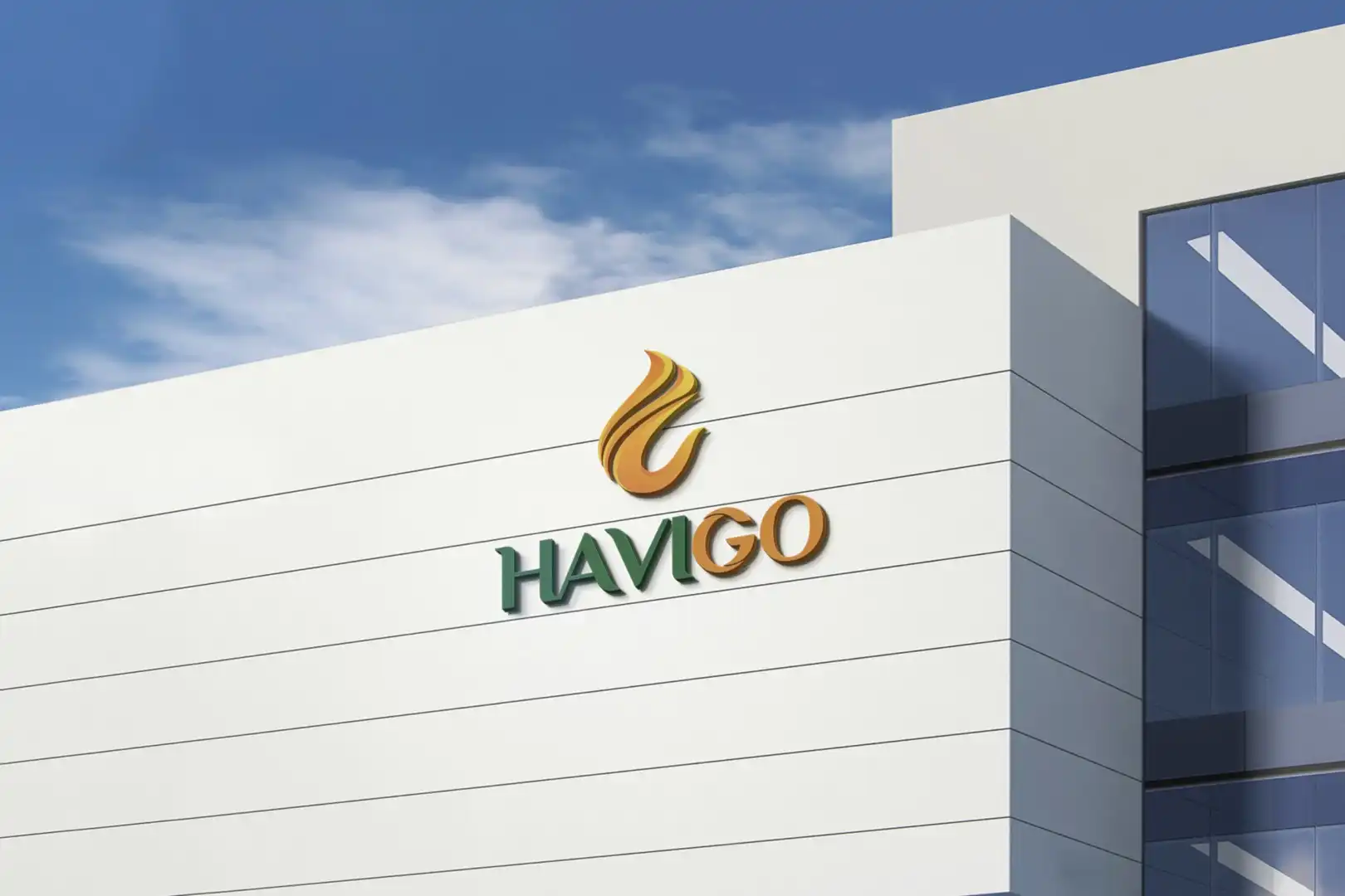 Home Page 1 image 1 HAVIGO VIETNAM