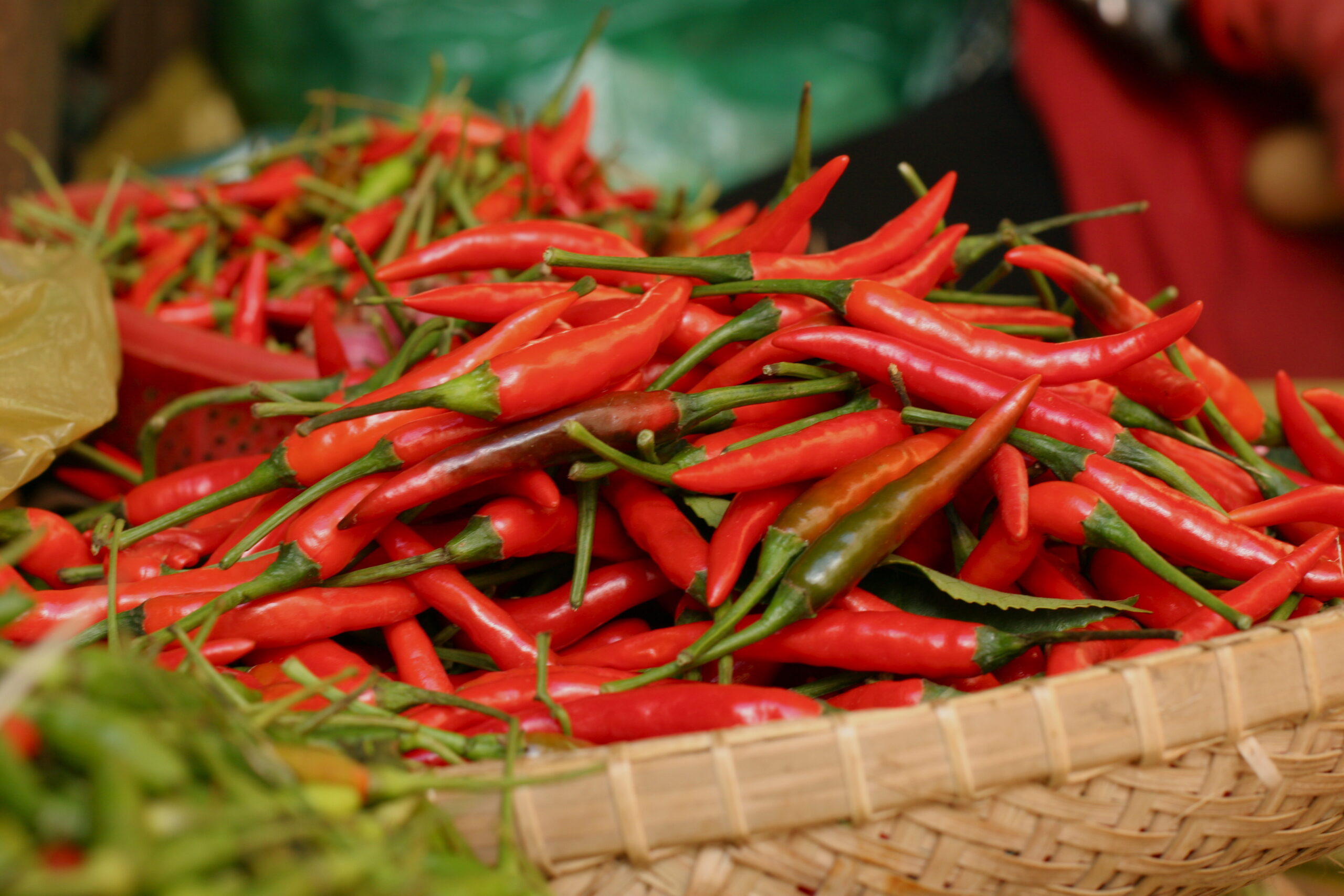 vietnam fresh chili