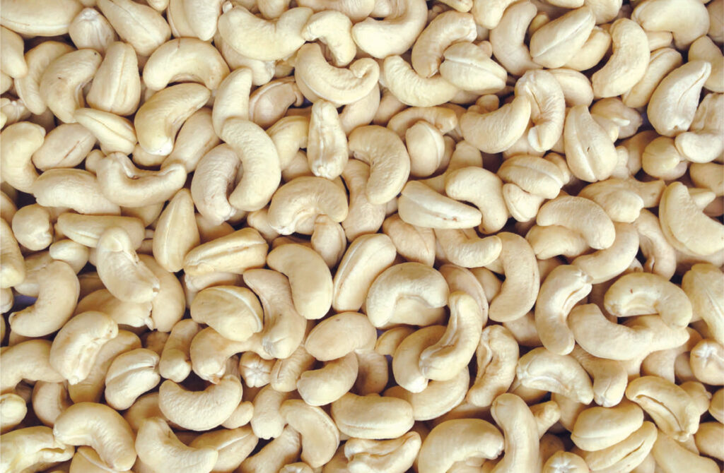cashew nuts from Vietnam
