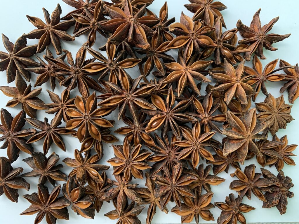 anise3