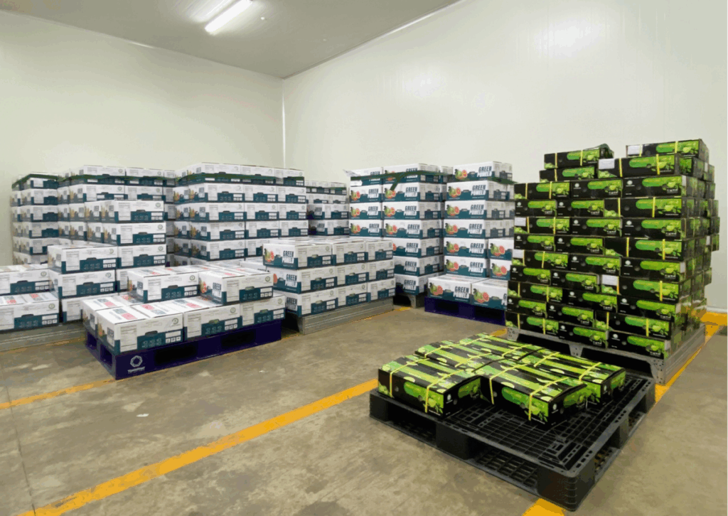 Seedless Lime Price