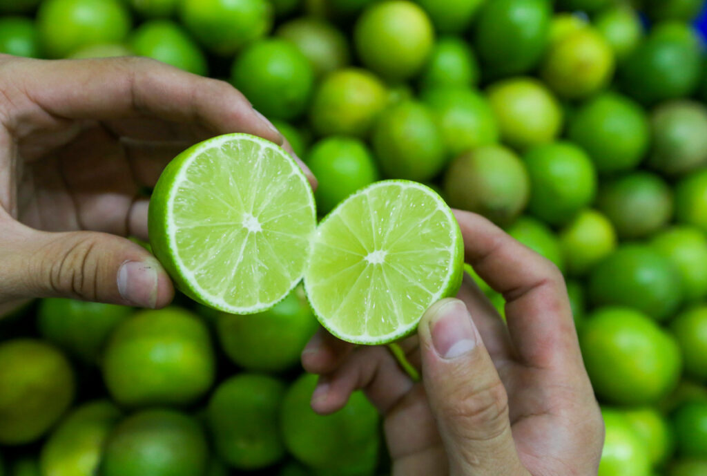 Vietnam seedless lime