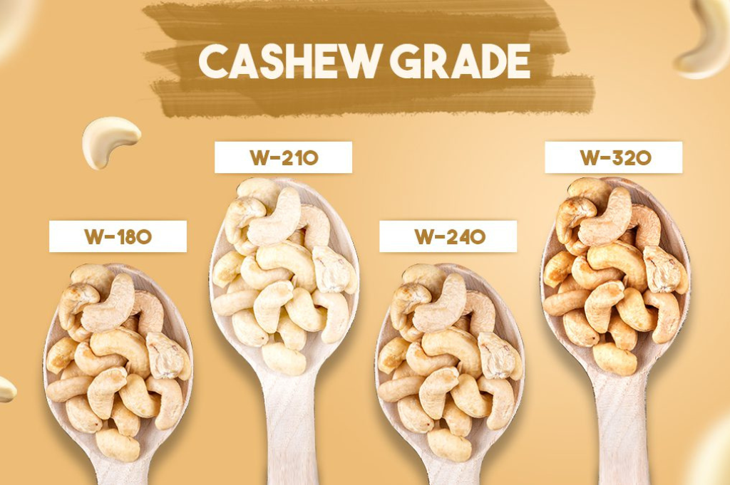 Grading Cashew Nuts