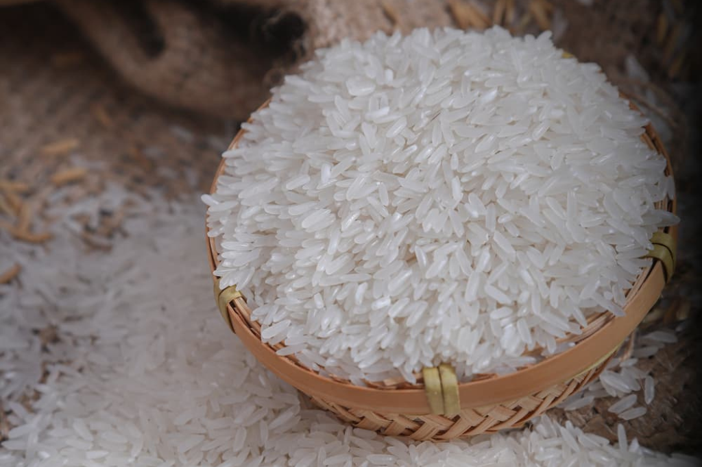 White Rice from Vietnam