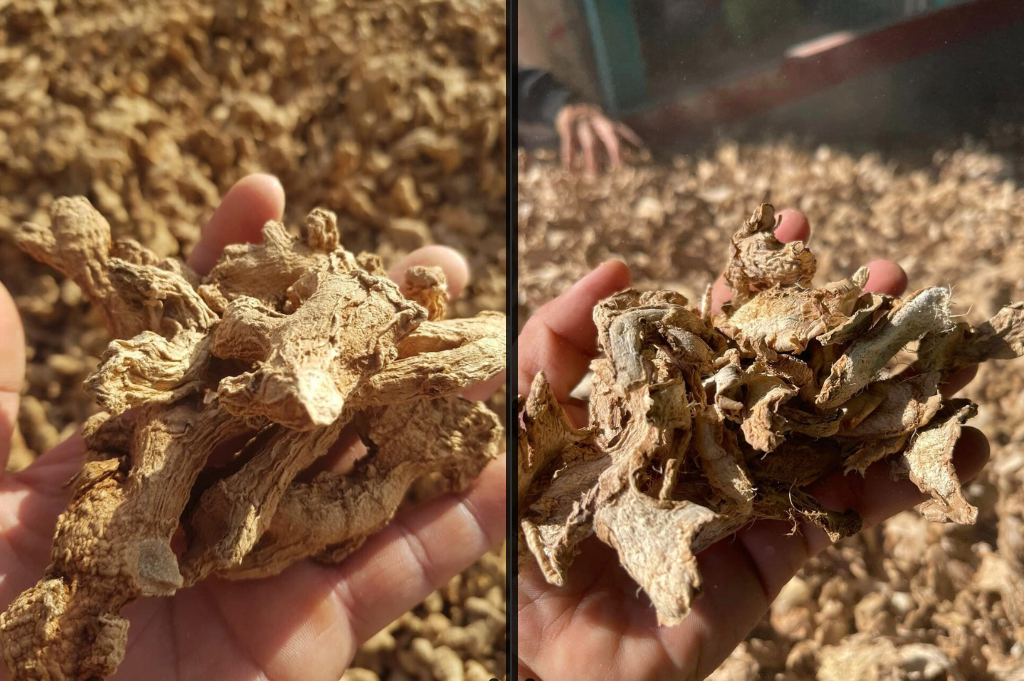 2 Types of Dried Ginger