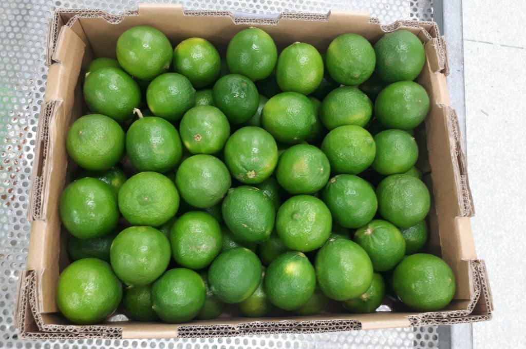 Box of Seedless Limes