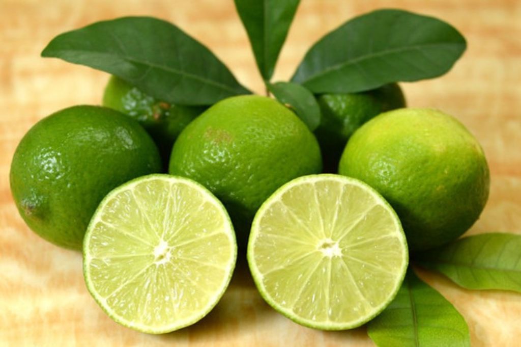 Export Seedless Limes