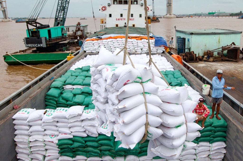 Exporting Rice from Vietnam