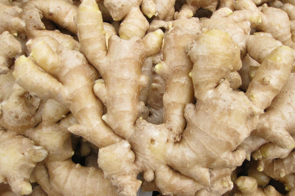 Export Fresh Ginger