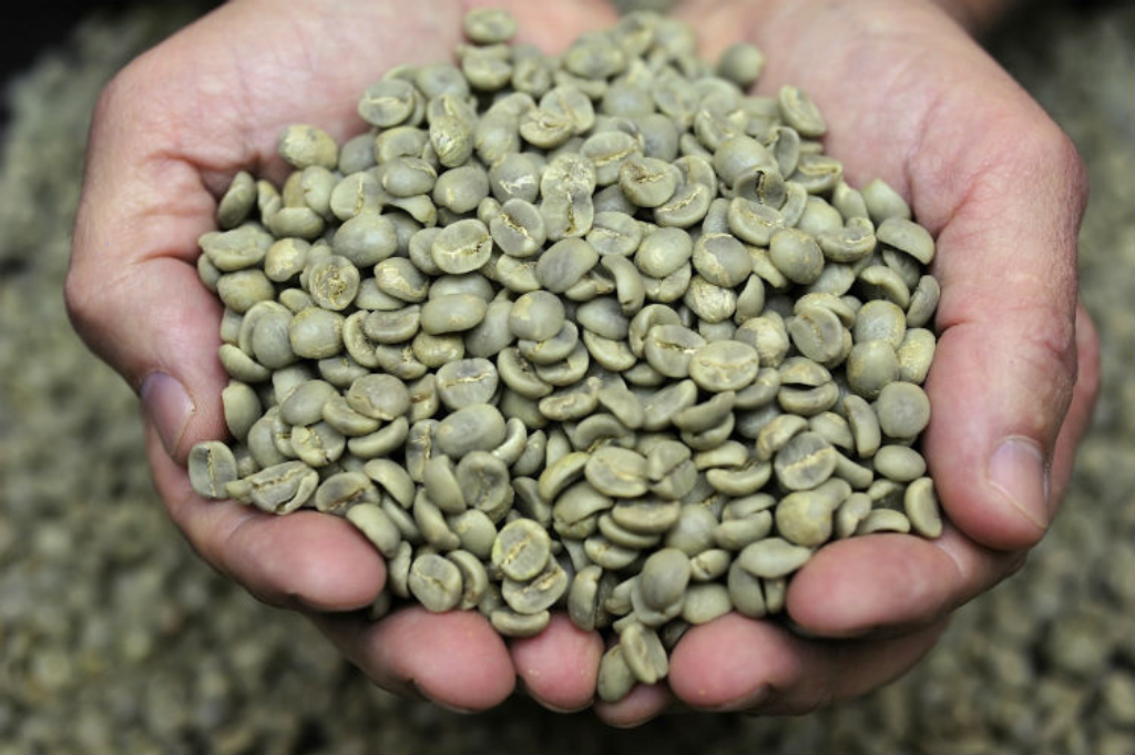  Green Coffee Beans