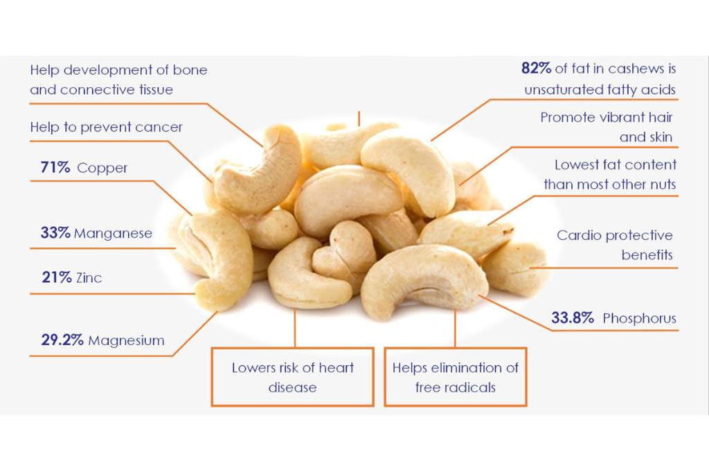 Nutrients of Cashew Nuts