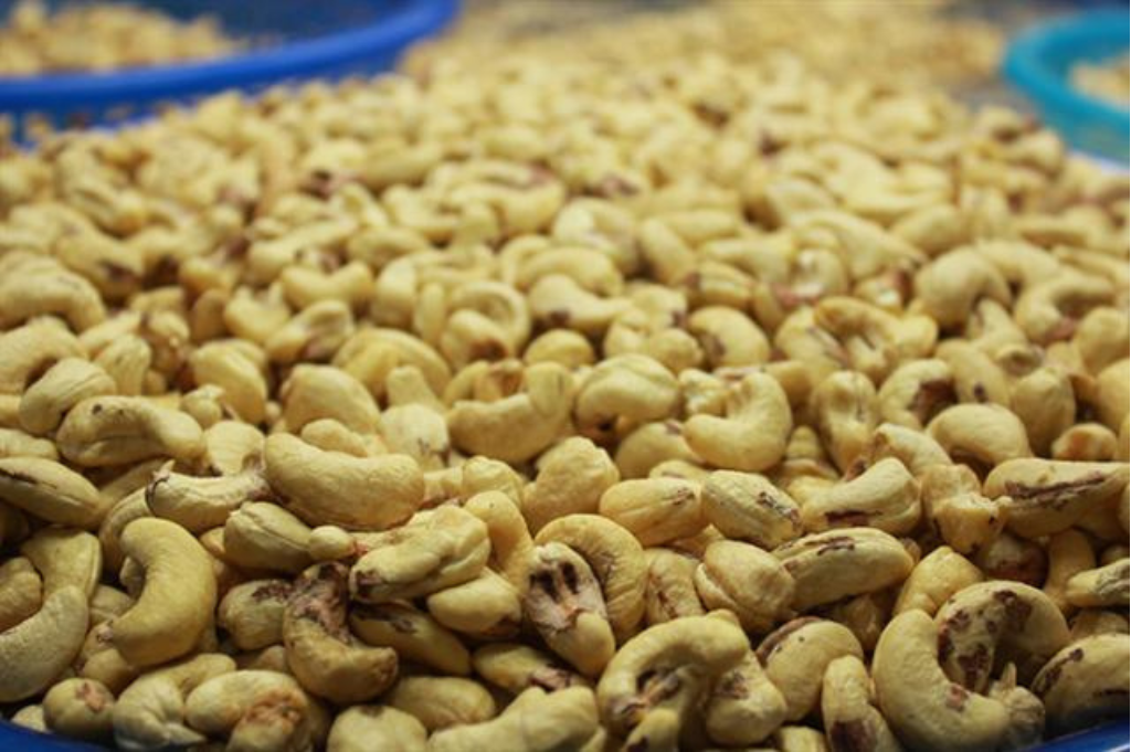 Vietnam Cashews