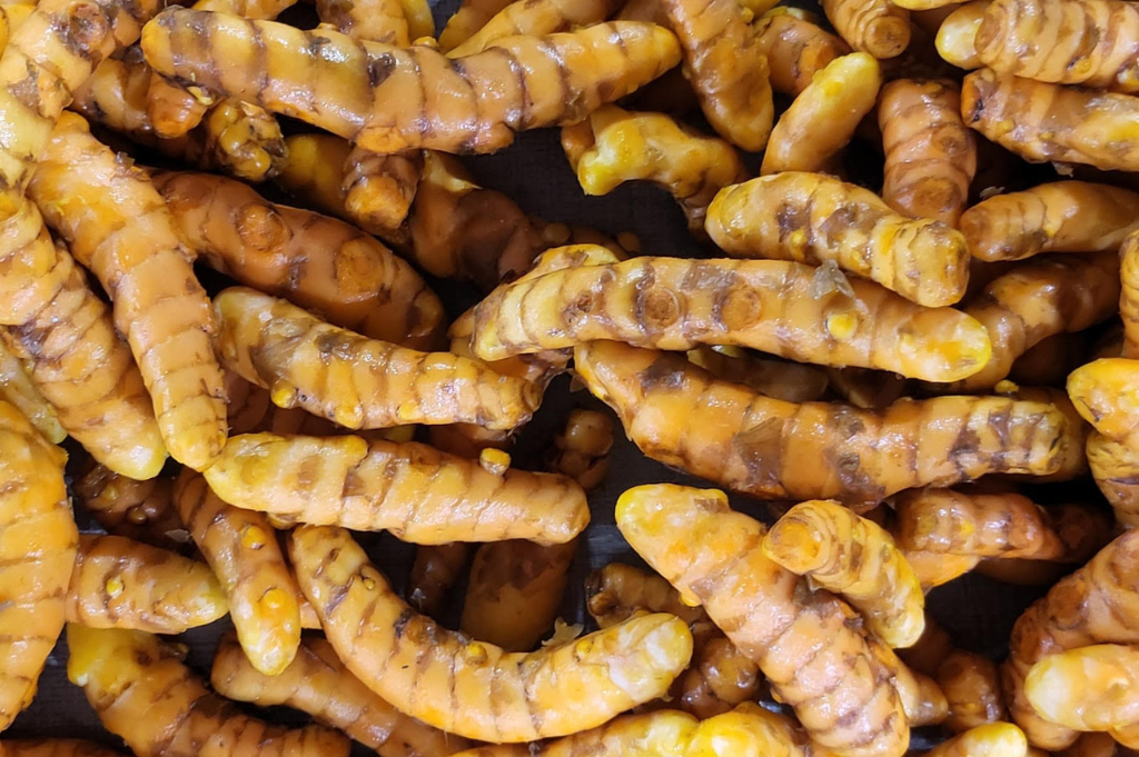 Vietnam Turmeric