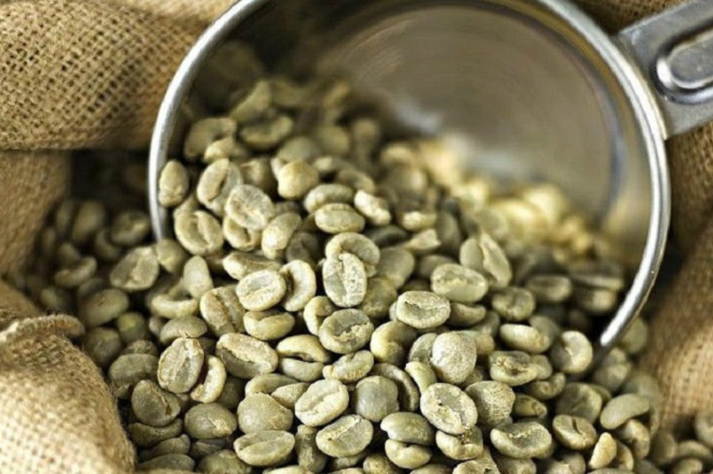 Arabica Coffee Beans