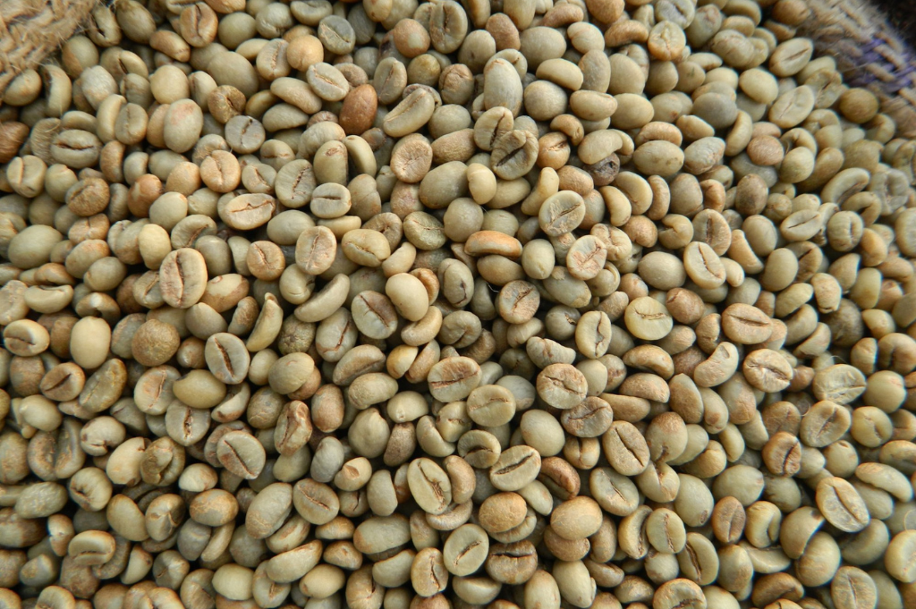 Robusta Coffee Beans