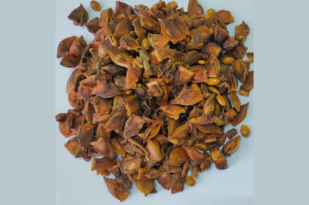 Broken Star Anise from Vietnam