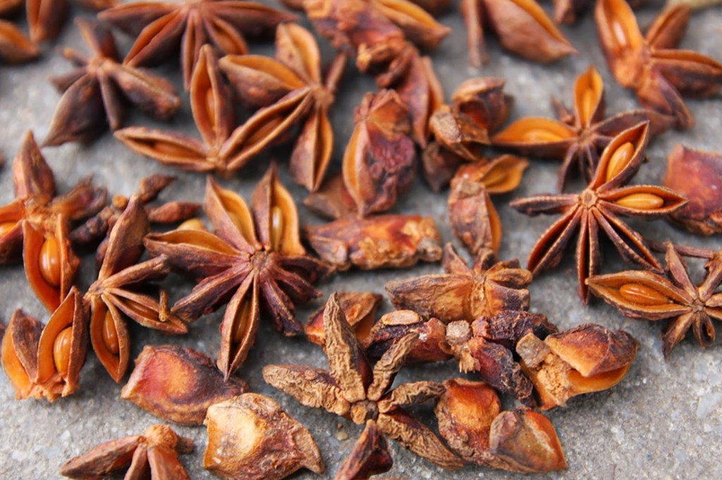 Broken Star Anise