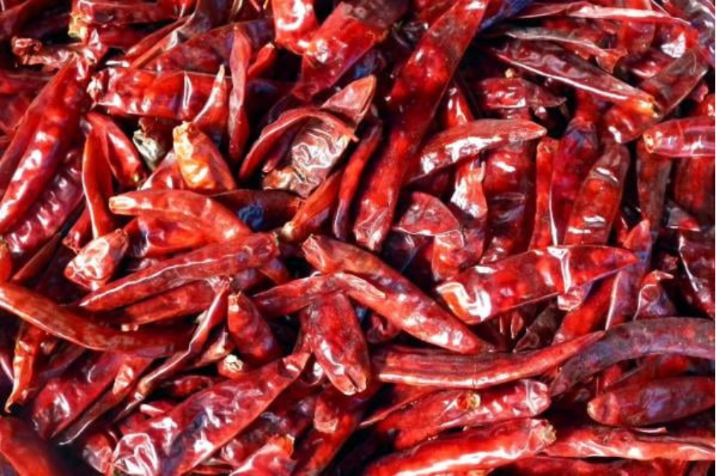 Dried Chili Peppers