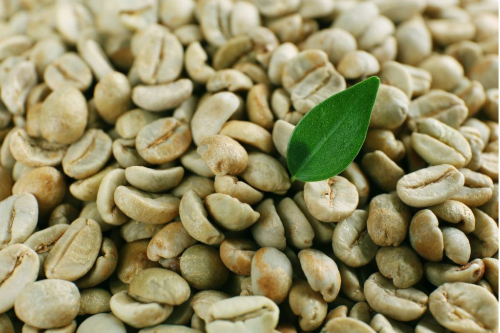 Store Green Coffee Beans for Long Time