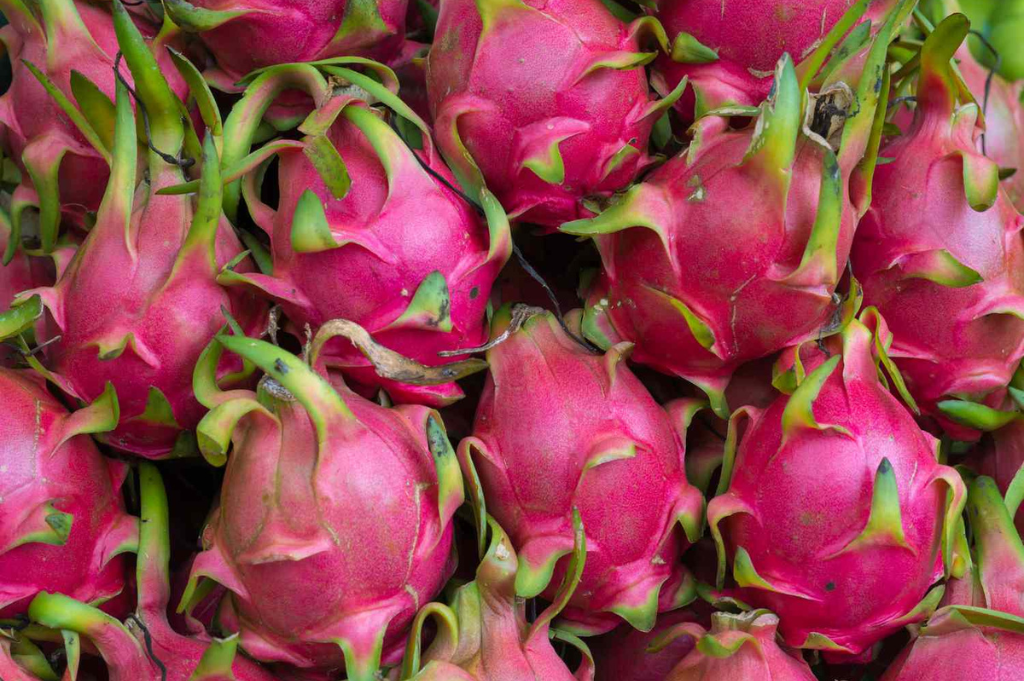 Tips for Buying Dragon Fruit