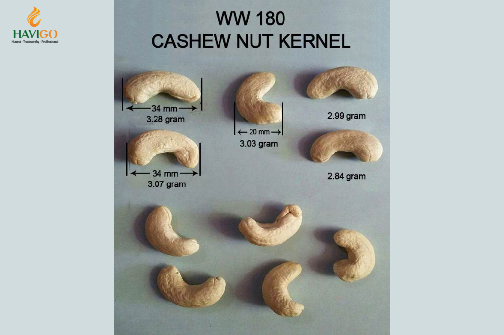 Cashews W180