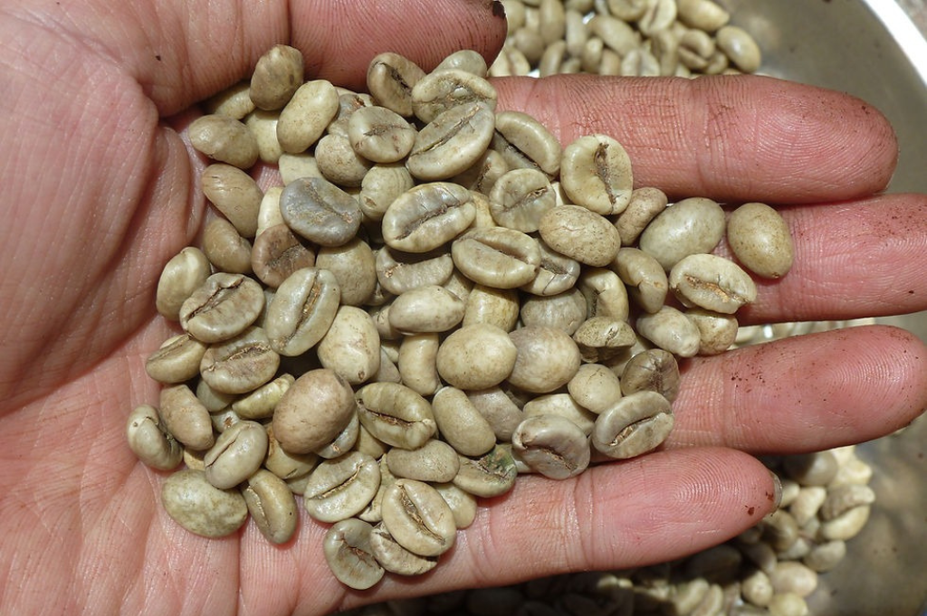 Coffee bean size classification