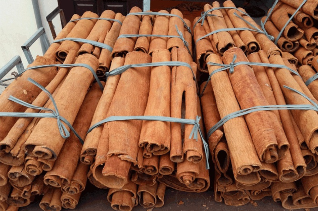 Export Cassia Cinnamon from Vietnam