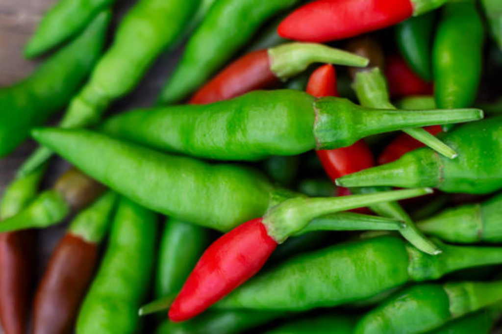 Green and Red Bird's Eye Chili