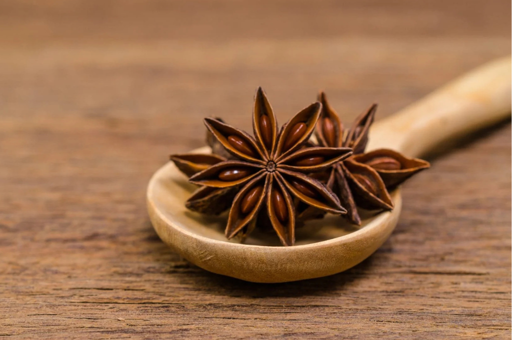 How to Store Star Anise