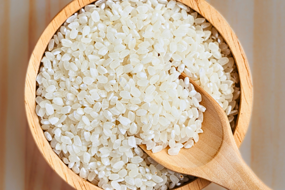 Japonica White Rice