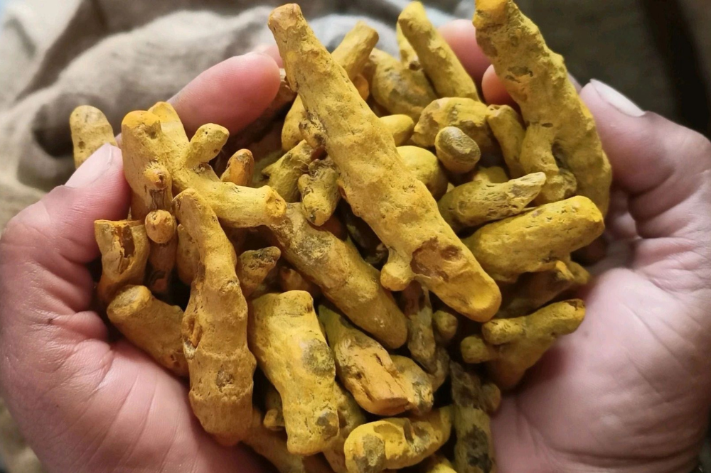 Turmeric Fingers