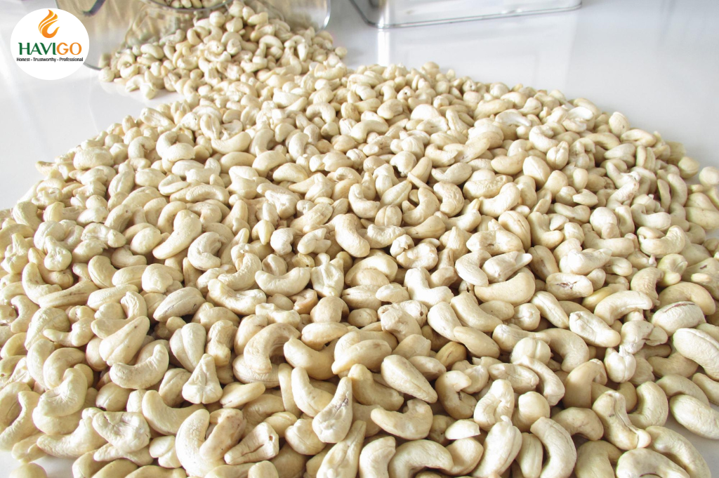 Cashew Nuts W240