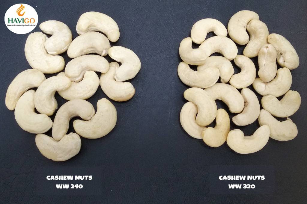 Cashew Nuts W240 & W320