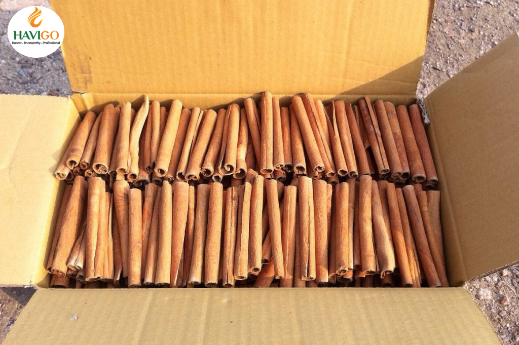 Cigarette Cassia Cinnamon from Vietnam