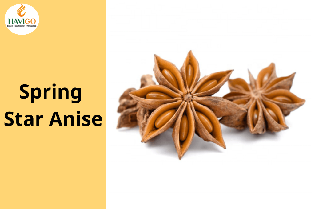 Spring Star Anise