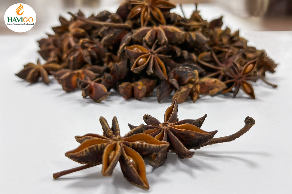 Autumn Star Anise