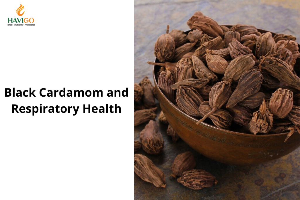 Black Cardamom and Respiratory Health