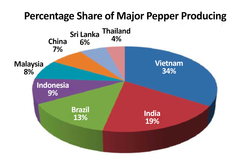 Exports of Black Pepper from Vietnam