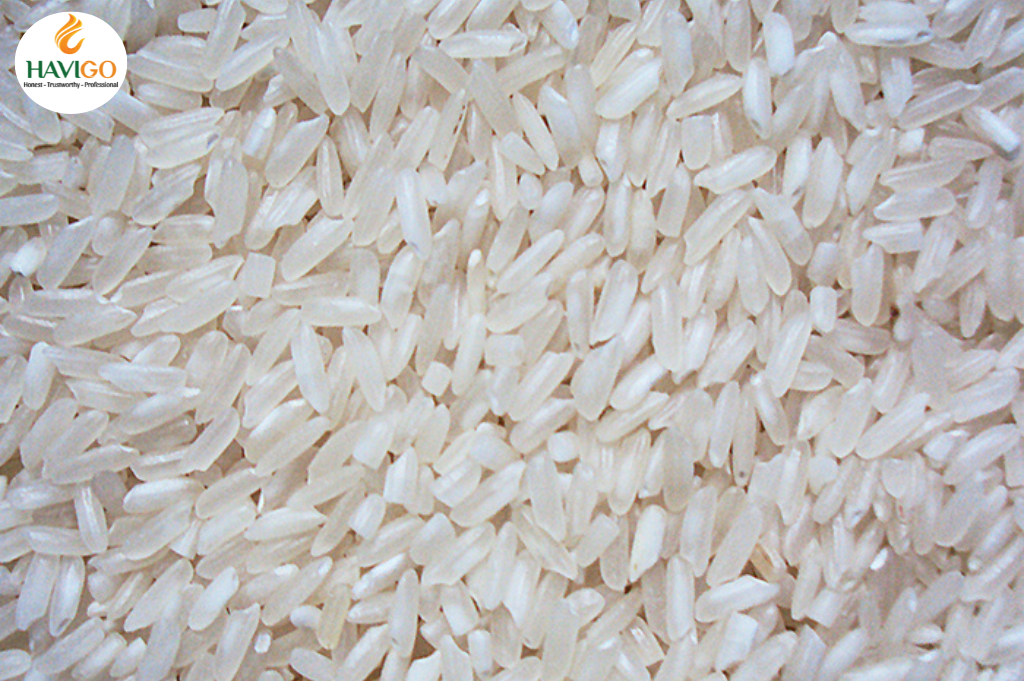 IR 504 Rice