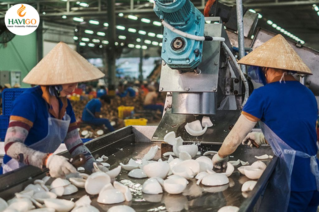 Processing Desiccated Coconut