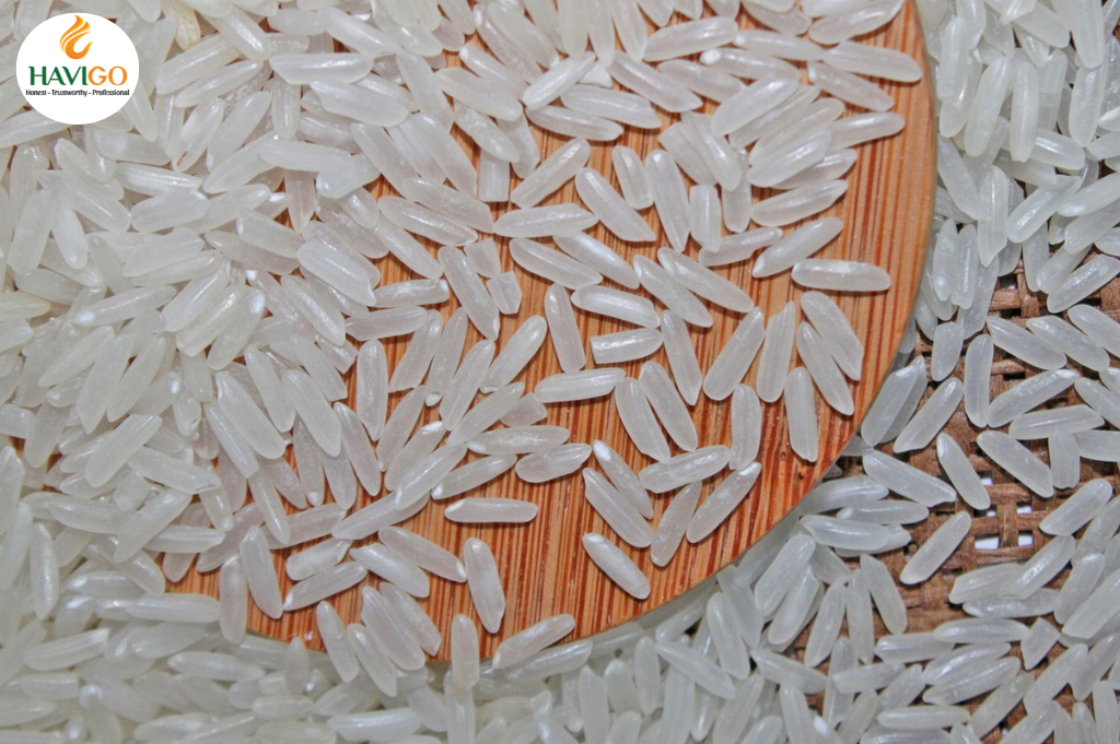 Rice IR504