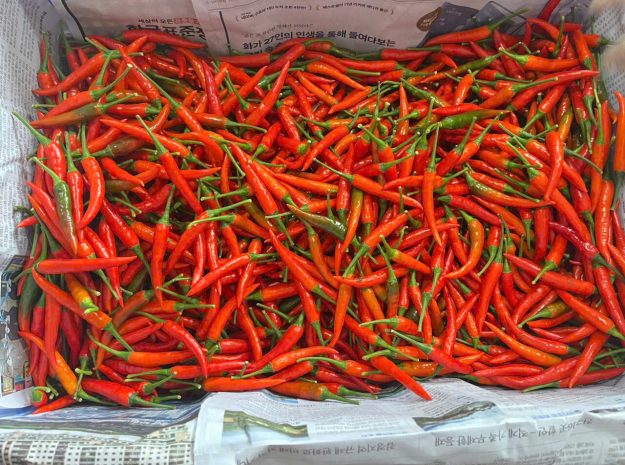 Fresh Chili from Vietnam