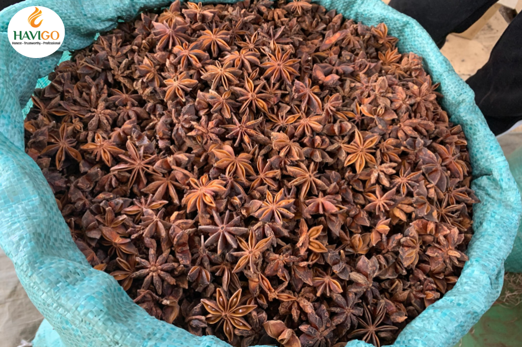 Autumn Star Anise