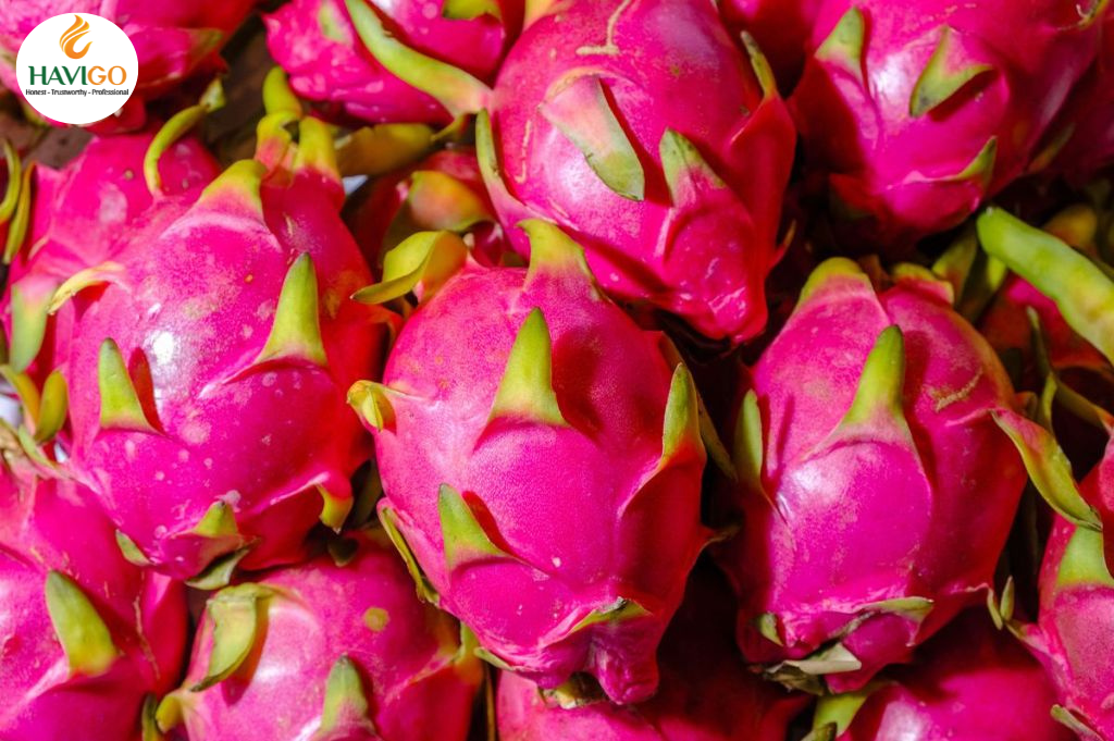 Dragon Fruit from Vietnam