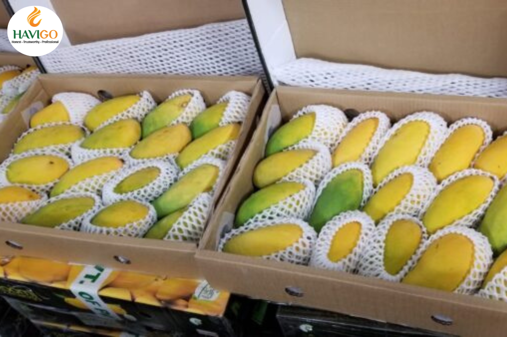 Exports of Vietnamese Mango