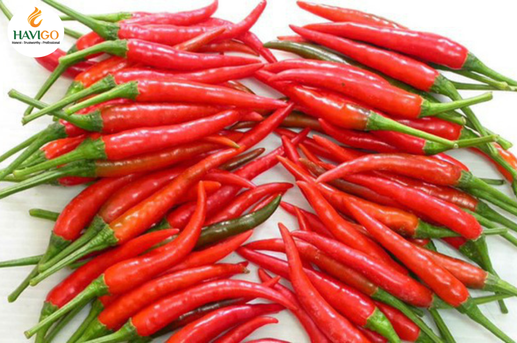 Fresh Chili Shelf Life