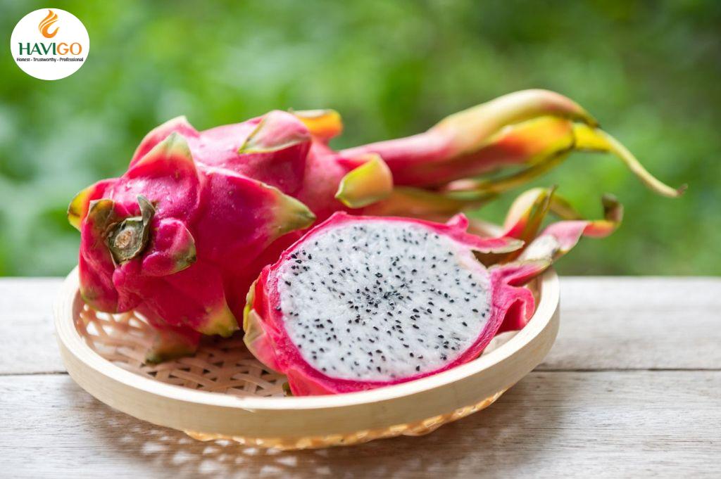 Fresh Dragon Fruit from Vietnam