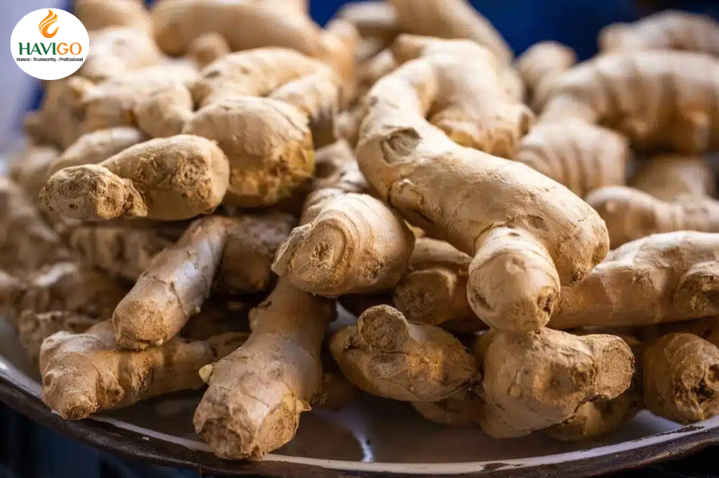 Ginger and Traditional Medicine