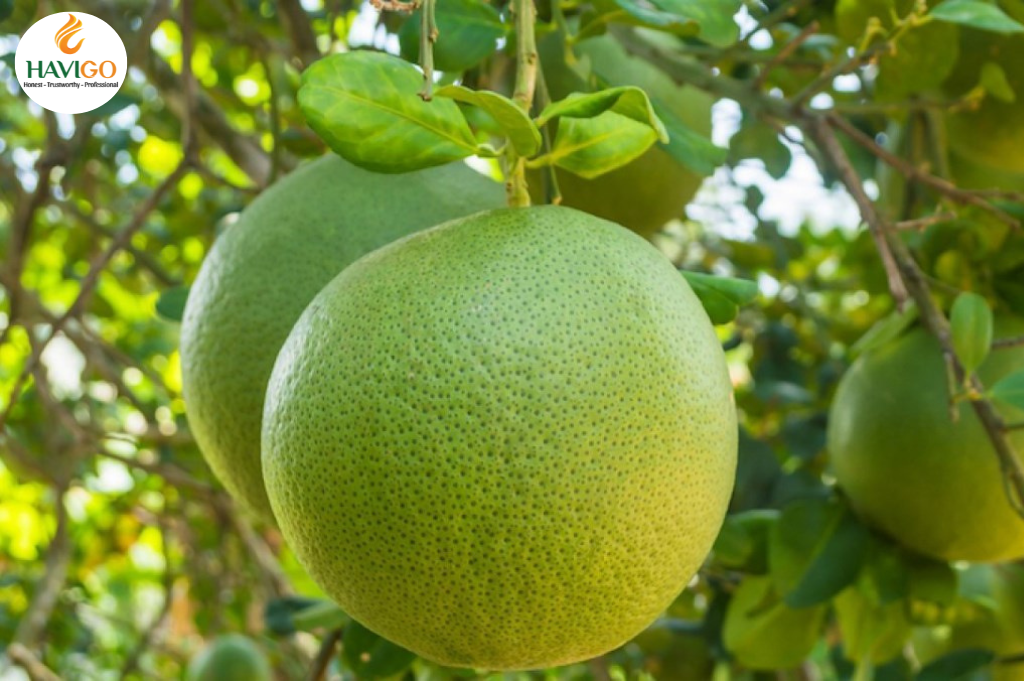 Nam Roi pomelo